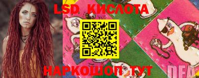 ECSTASY Новозыбков