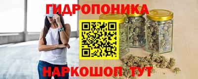 ALPHA PVP Новодвинск