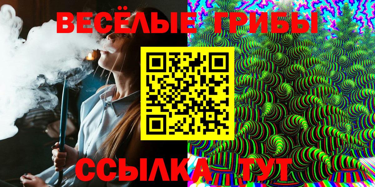 Алексин  где купить наркотик  Вход с VPN  Галлюциногенные грибы Psilocybine cubensis 